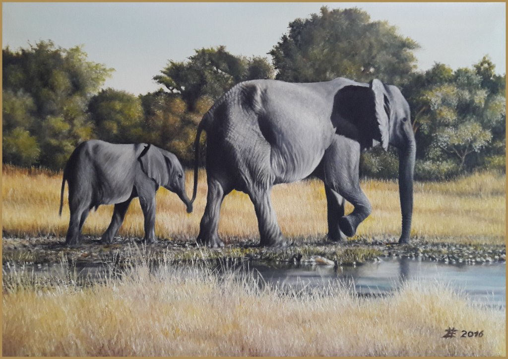 image-7667349-165_Afrikanische_Elefanten.w640.jpg